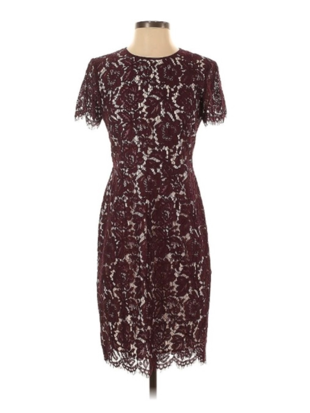 Vince Camuto Burgundy Lace Sheath Dress Short Sleeve Size 2